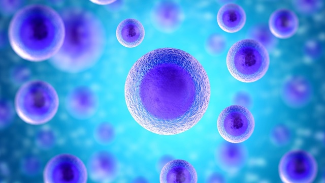 Стимулирование регенерации клеток: самые эффективные способы